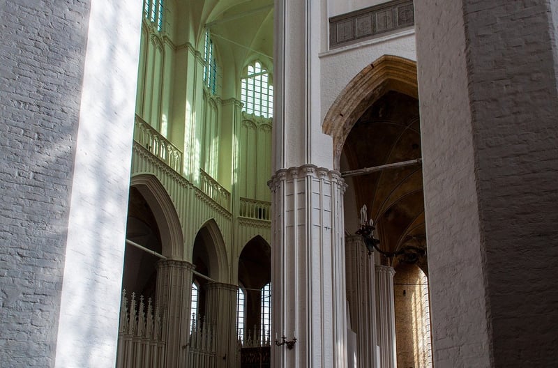 Biophilic Interior