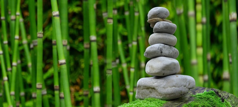 Gardening Meditation